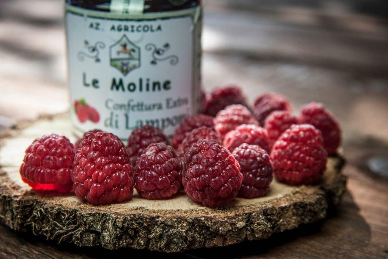 Piccolo Casale A "Le Moline" In Una Vera Fattoria Vetralla Exterior photo