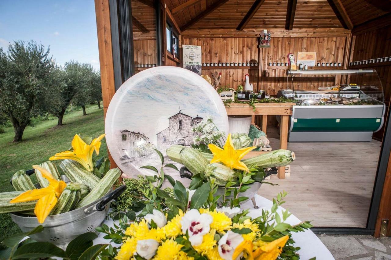 Piccolo Casale A "Le Moline" In Una Vera Fattoria Vetralla Exterior photo